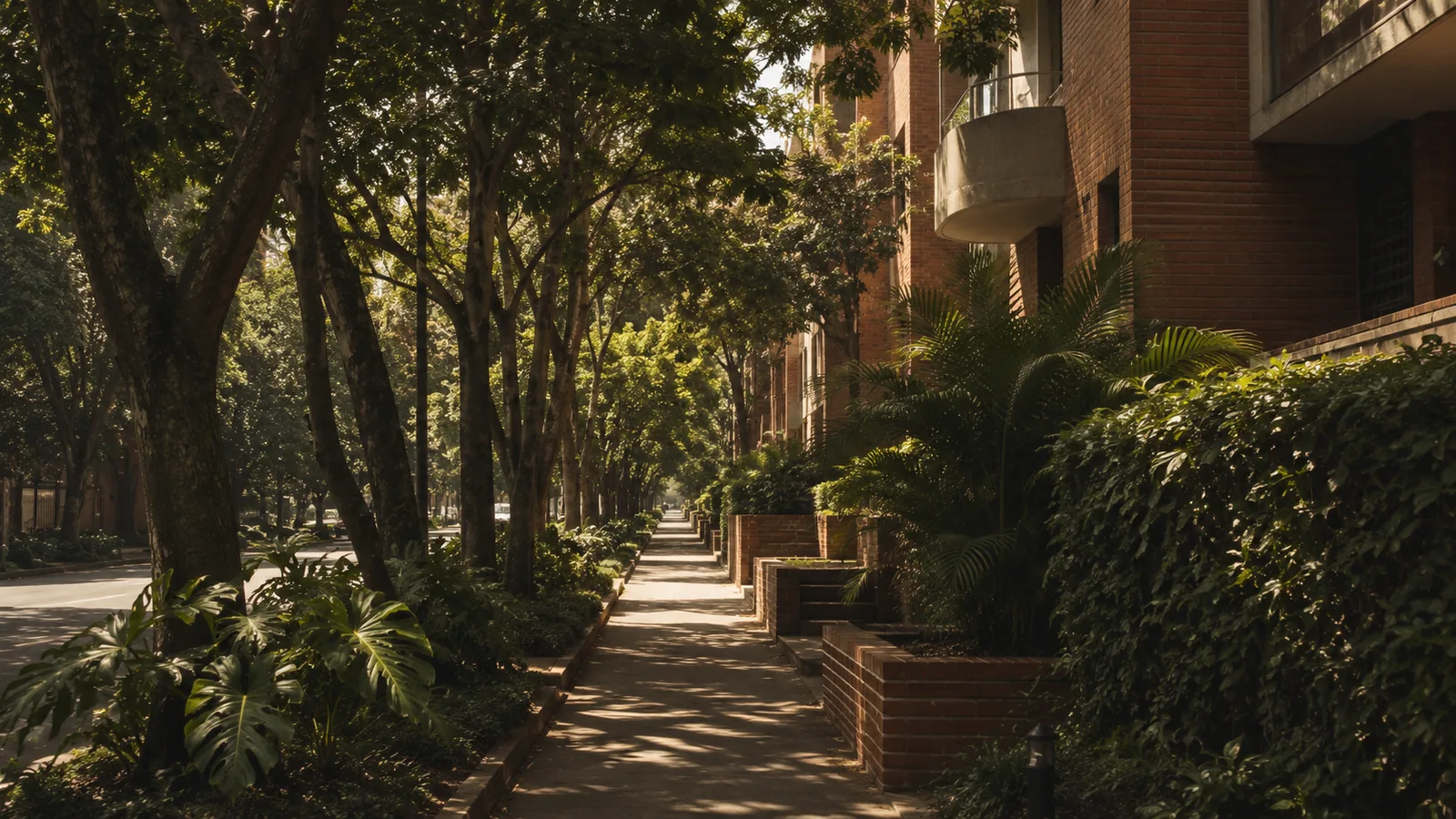 A tree-lined residential street in El Poblado, Medellin
